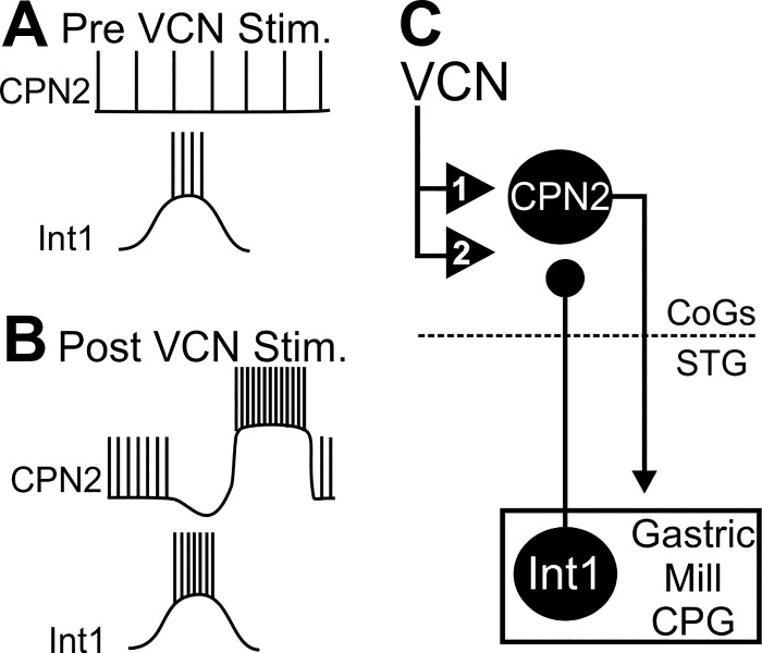 Fig. 10.