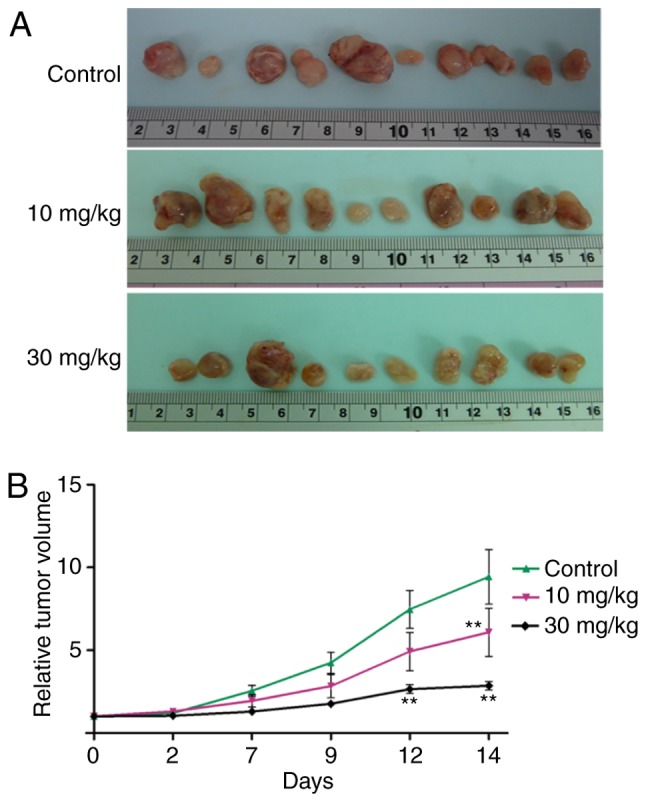 Figure 2.