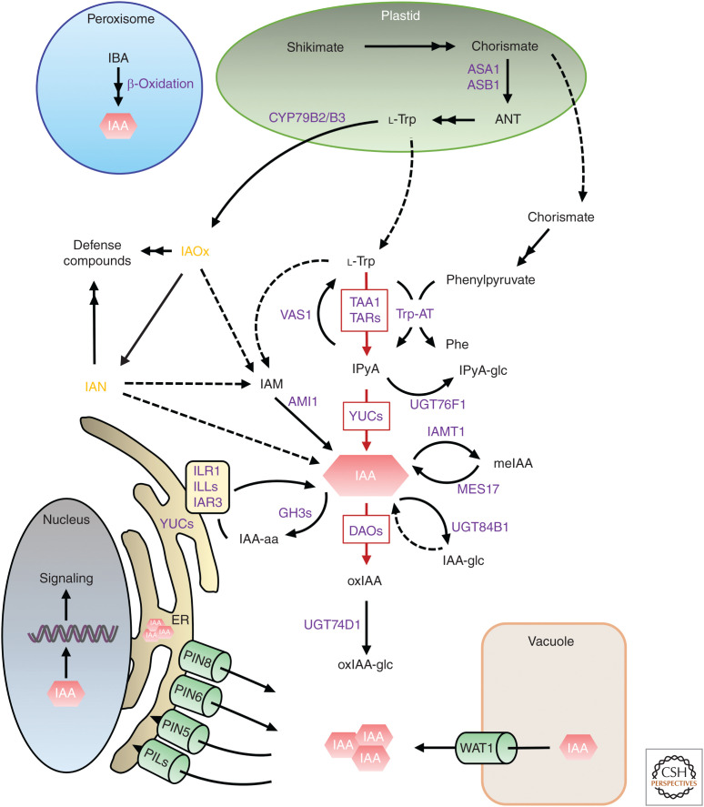 Figure 1.