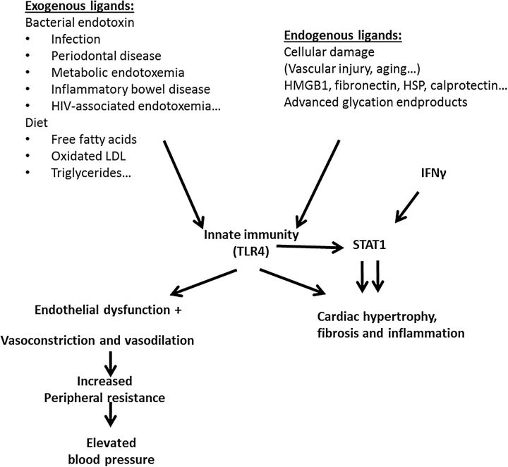 FIGURE 1: