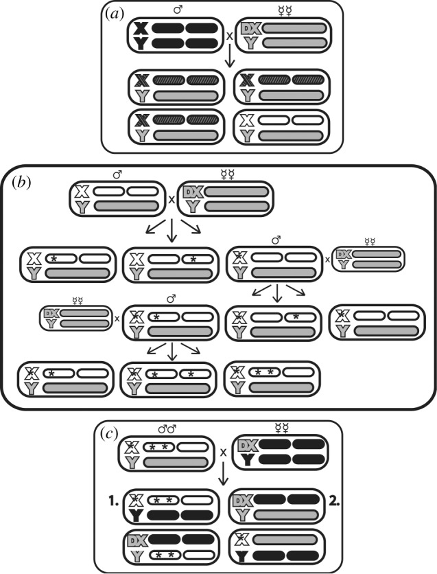 Figure 1.