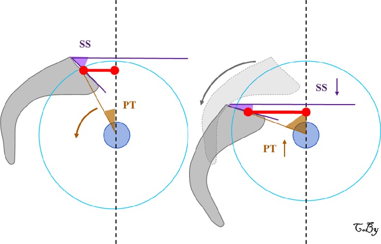 Fig. 7