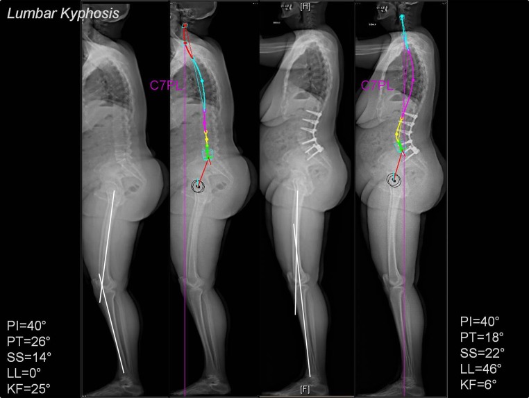 Fig. 8