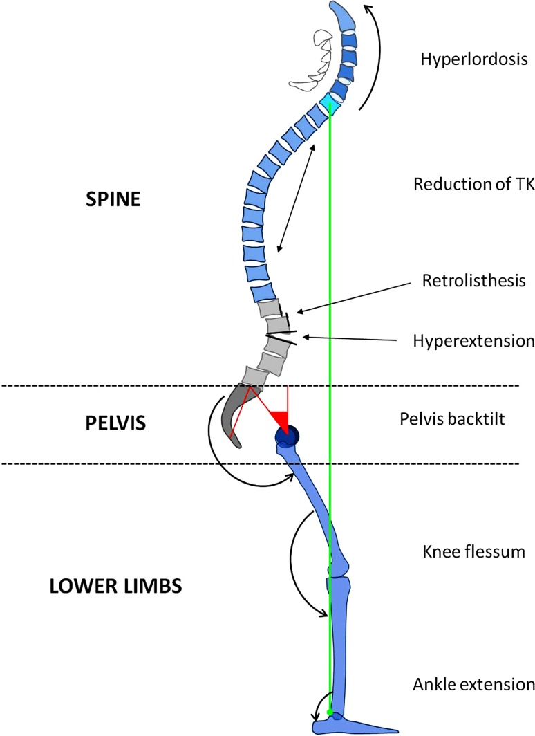 Fig. 3