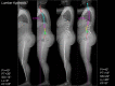 Fig. 8