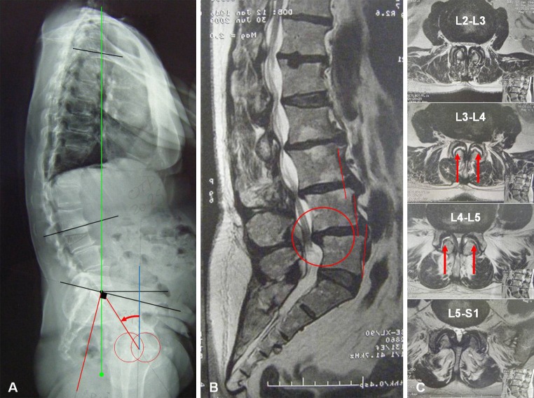 Fig. 4