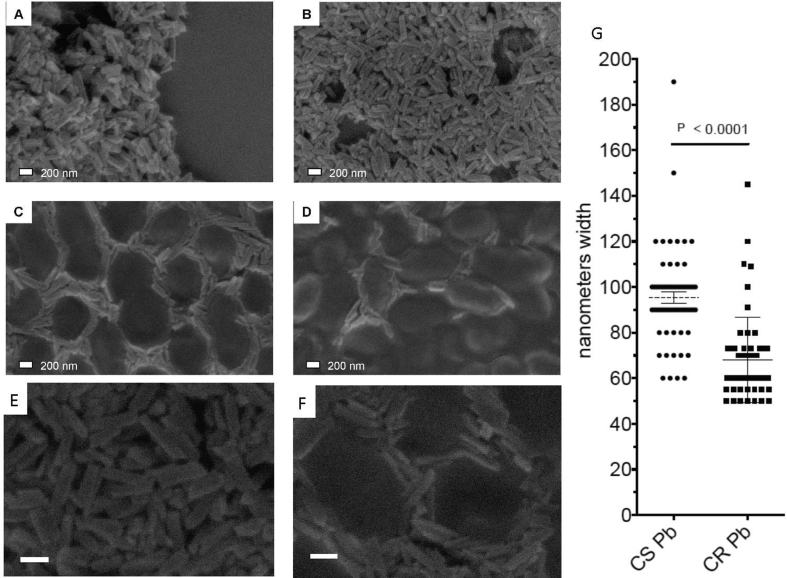 Fig. 4