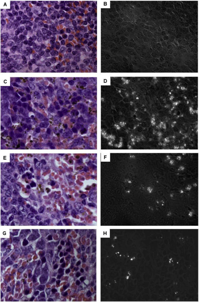 Fig. 3