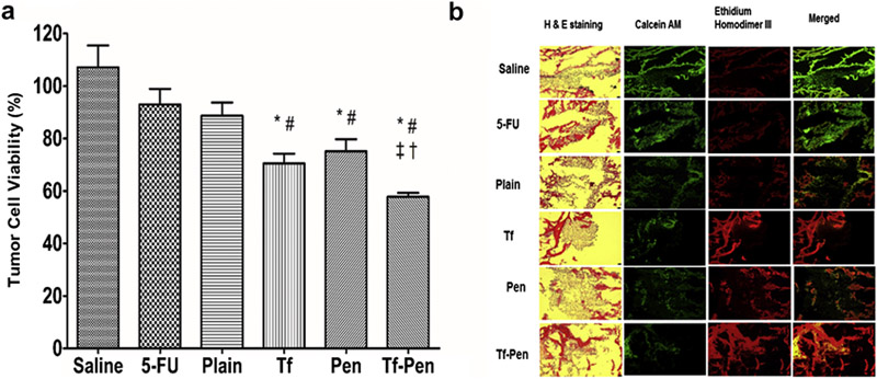 Figure 11.