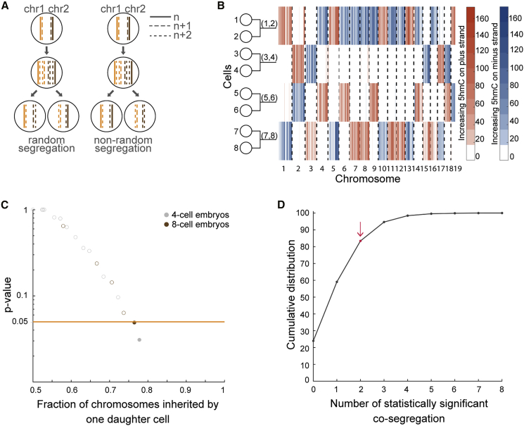 Figure 5