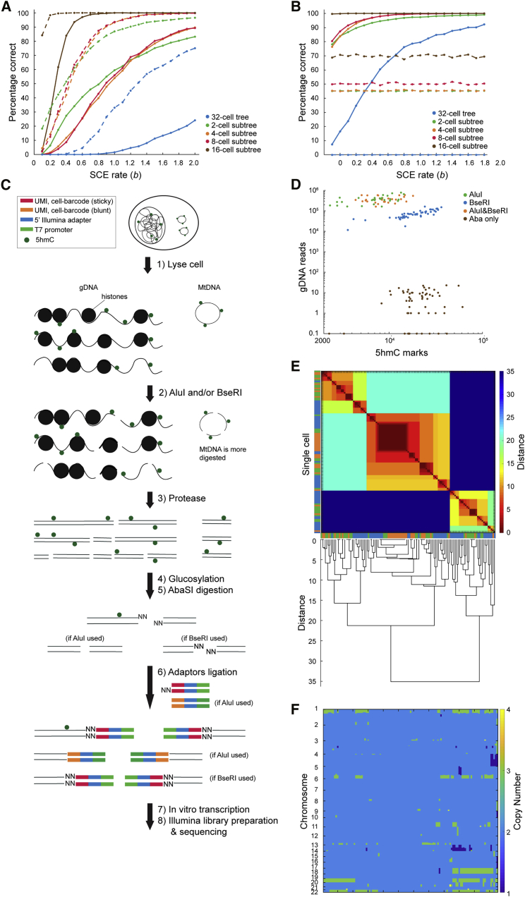 Figure 4