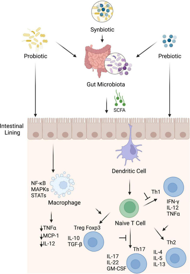 FIGURE 3