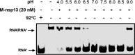 FIG 5