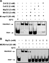 FIG 4
