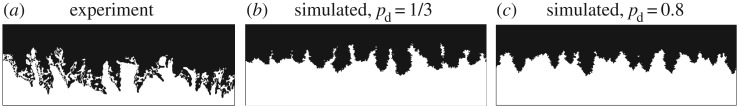 Figure 11.