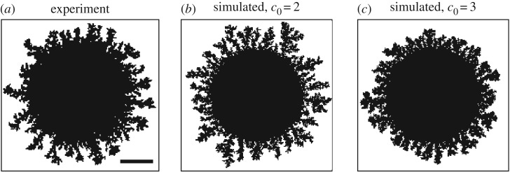 Figure 12.