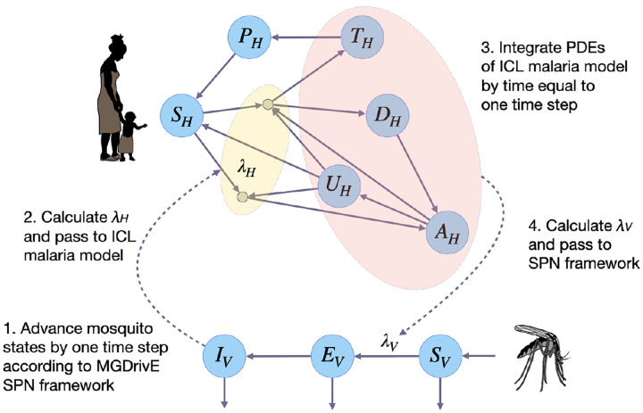 Fig 1.