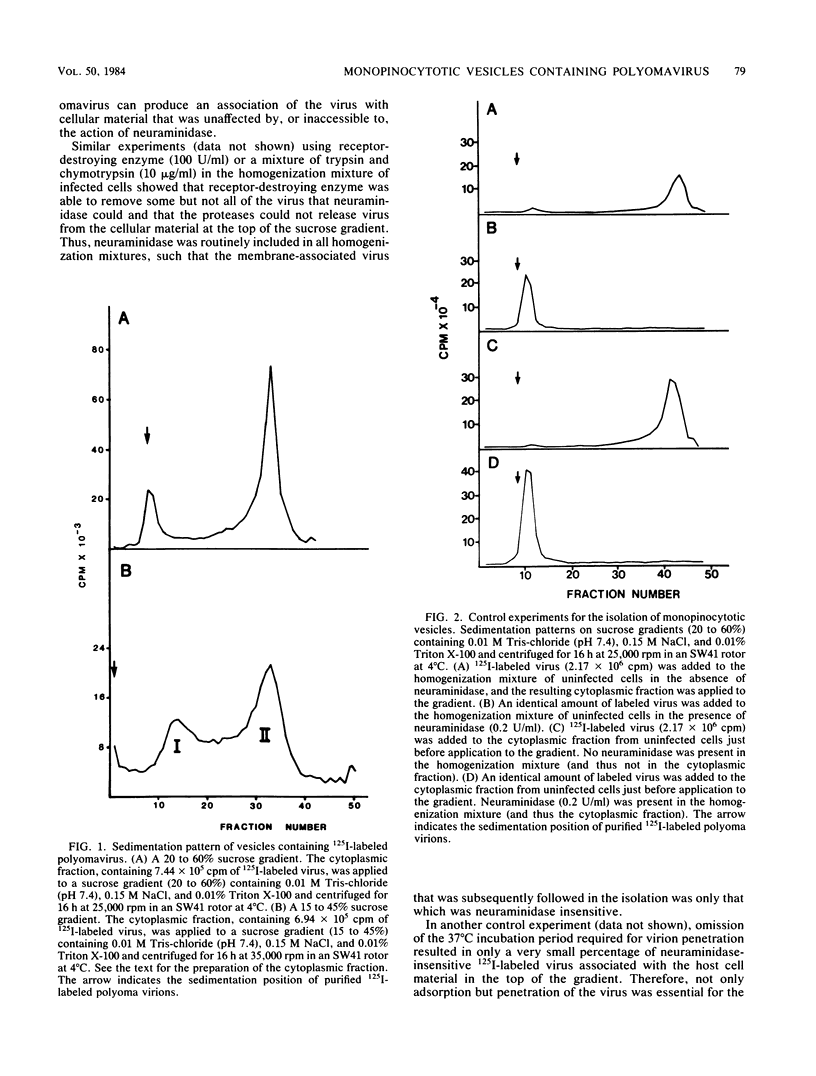 Isolation And Characterization Of Monopinocytotic Vesicles Containing 