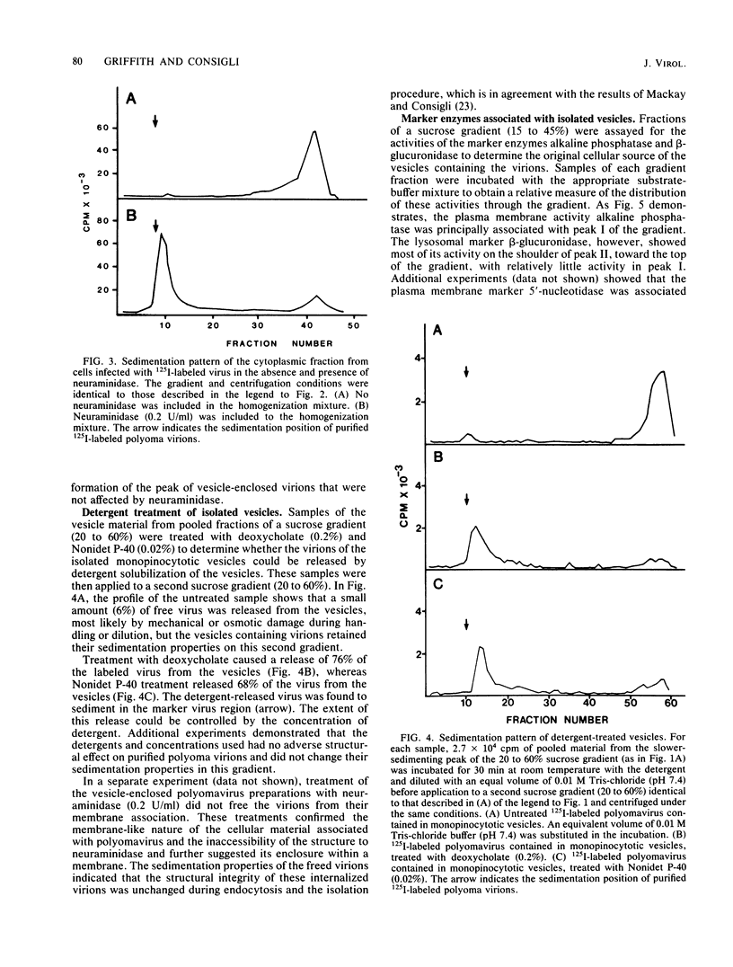 Isolation And Characterization Of Monopinocytotic Vesicles Containing 