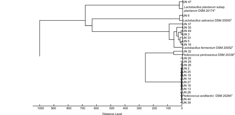 Fig. (1)