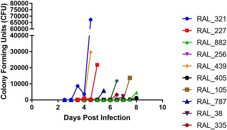 Fig 4