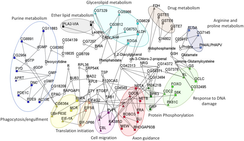 Fig 10