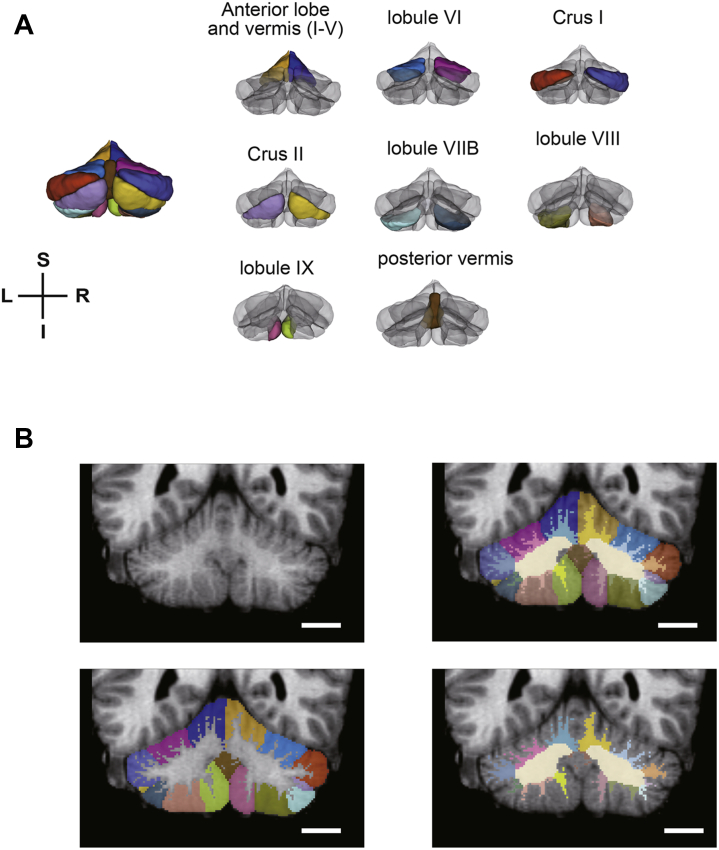 Figure 1