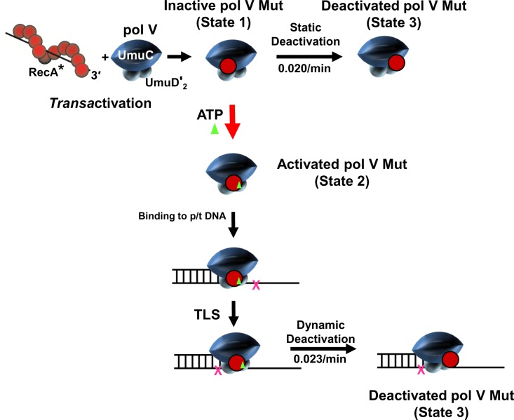 Fig 10