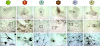 <b>Figure 1</b>