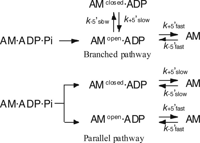 SCHEME 3.