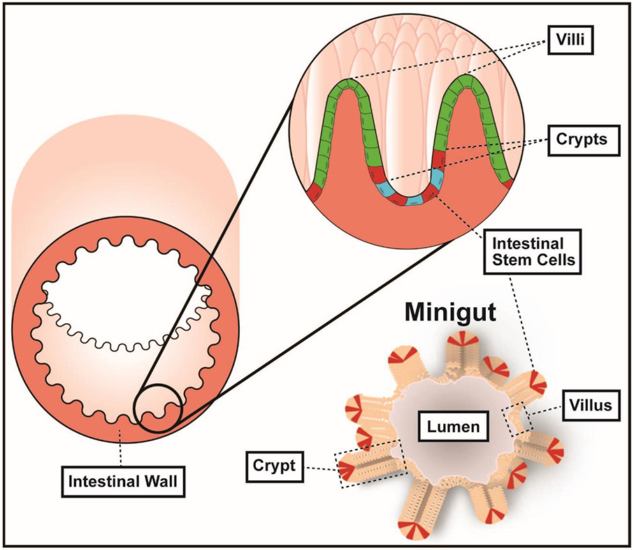 Figure 1.