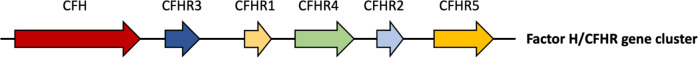 Fig. 1