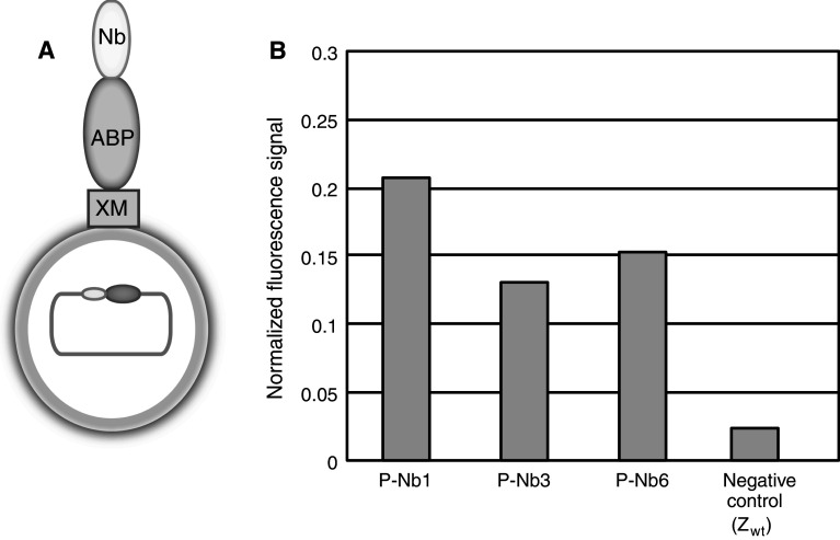 Fig. 2