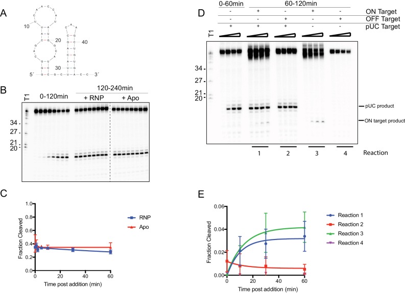 Figure 2—figure supplement 1.