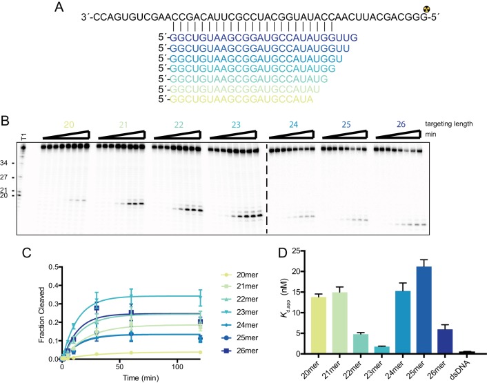 Figure 1—figure supplement 4.