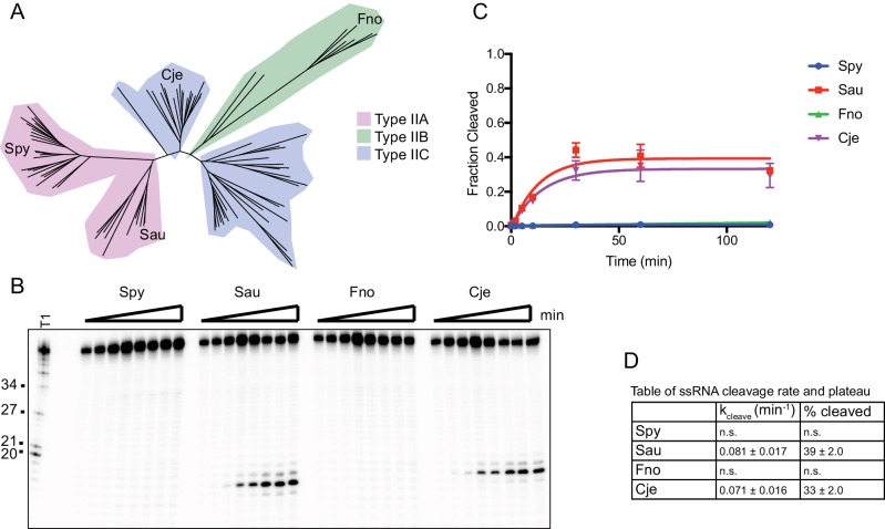 Figure 1—figure supplement 1.