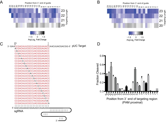 Figure 3—figure supplement 4.