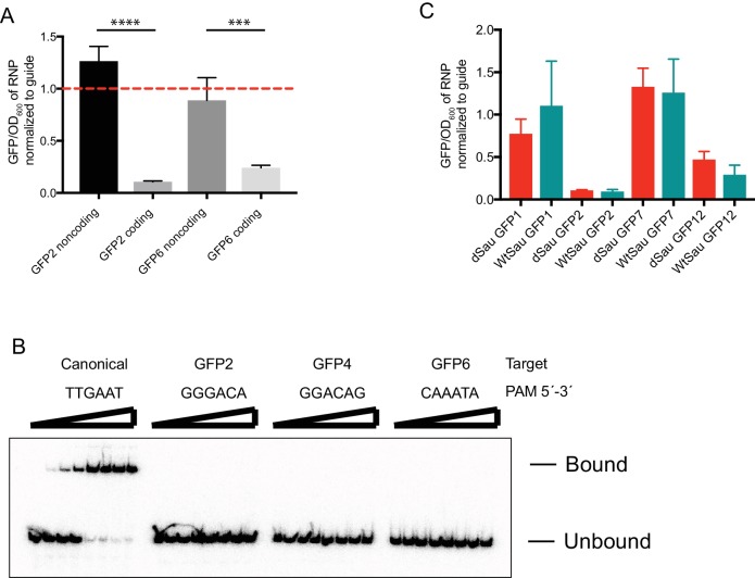 Figure 4—figure supplement 1.