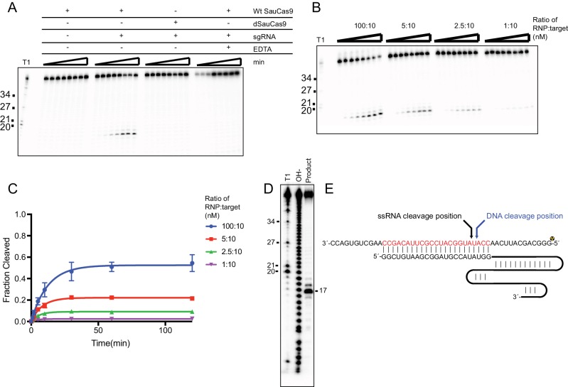 Figure 1—figure supplement 2.