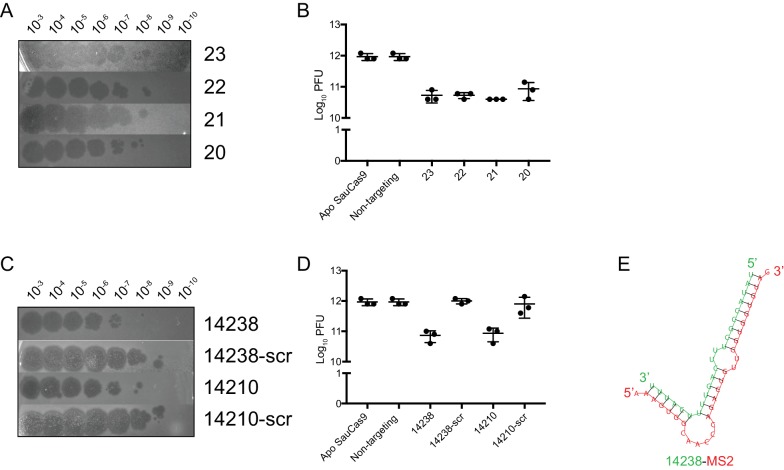 Figure 3—figure supplement 3.