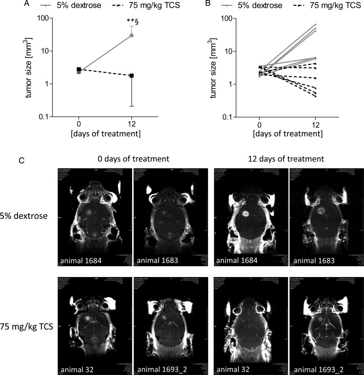 Fig. 6.