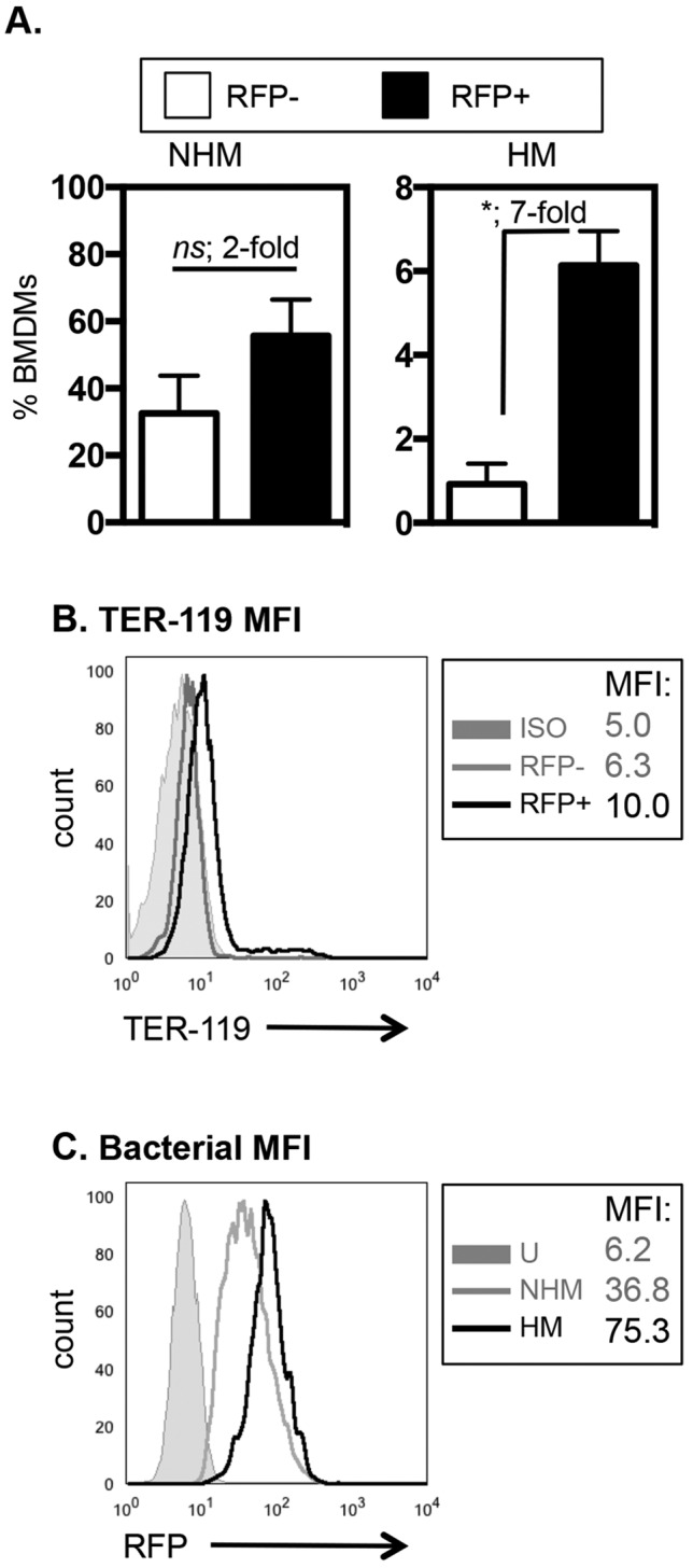 FIG 5 