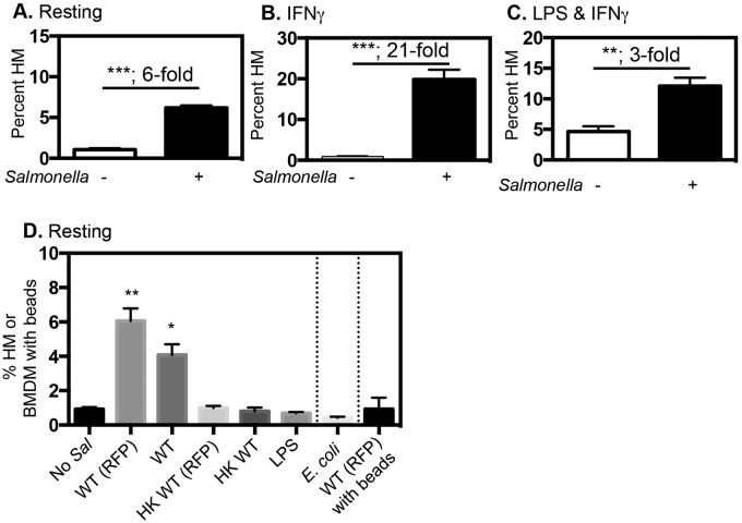 FIG 4 