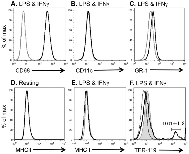 FIG 2 