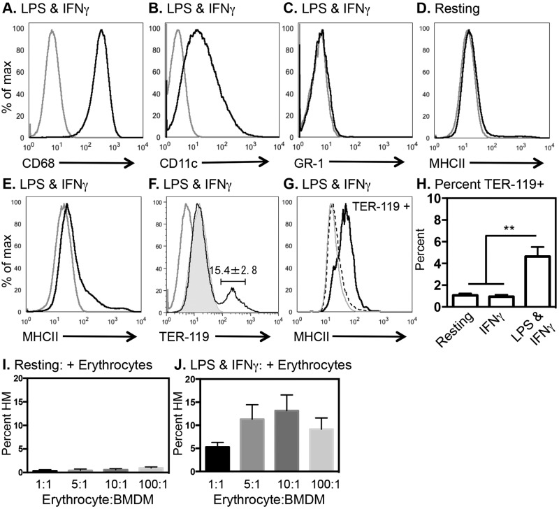 FIG 3 