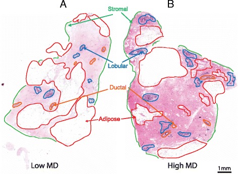 Fig. 3