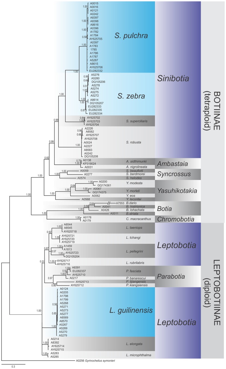 Fig 6