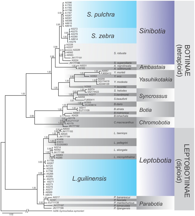 Fig 7