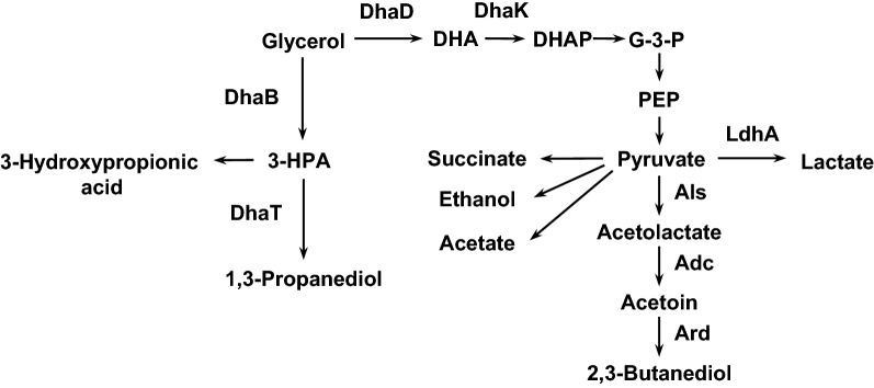 Fig. 1