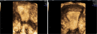 Fig. 9